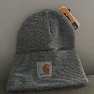 Carhartt Winter hat